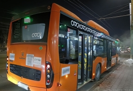 Парковки и «цветные» автобусы: омские депутаты решили добиваться транспортных поправок в КоАП