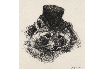 Курды – кто они?