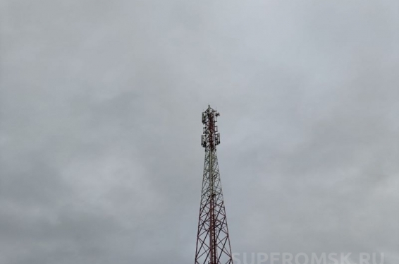 Смена названия и расшифровка голосовых: рассказываем о новинках в мессенджере MAX