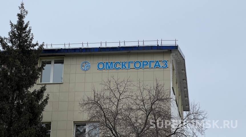 Власть Министр Шнипко объяснил вывод «Омскгоргаза» в госсобственность