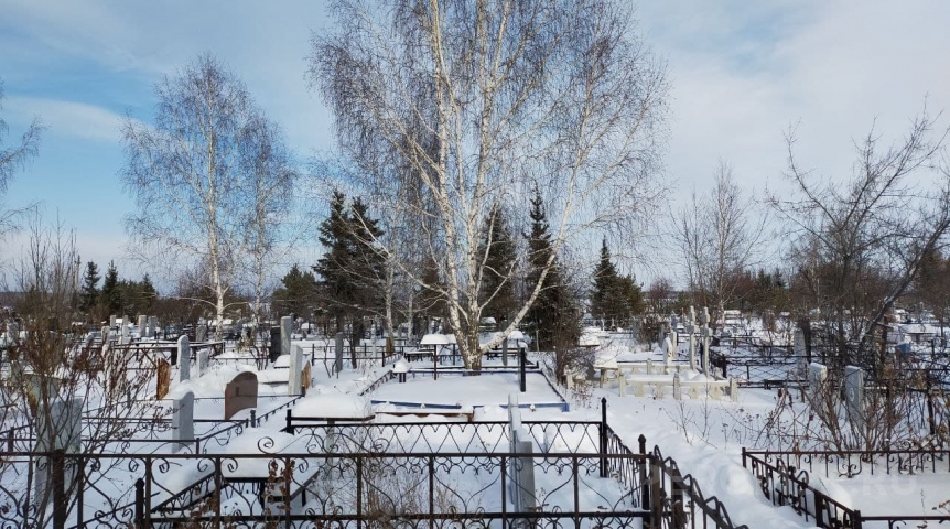 В январе 2024 года в Омской области умерло вдвое больше родившихся В январе 2024 года в Омской области умерло вдвое больше родившихся