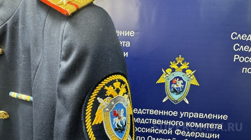 Криминальные новости Омич подозревается в страшном преступлении против матери