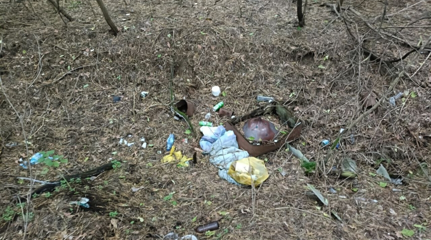 Общество В Омской области стало больше пластика среди мусора