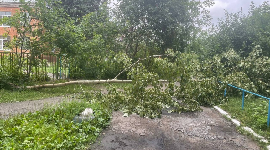 Город В омском УДХБ ответили по срокам уборки поваленных ураганом деревьев