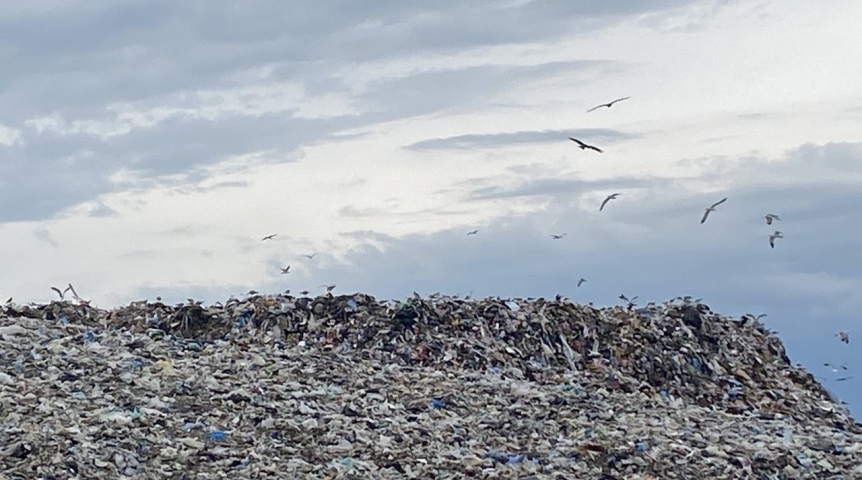 Гендиректор раскрыл цель основания «Омского завода ТКО»