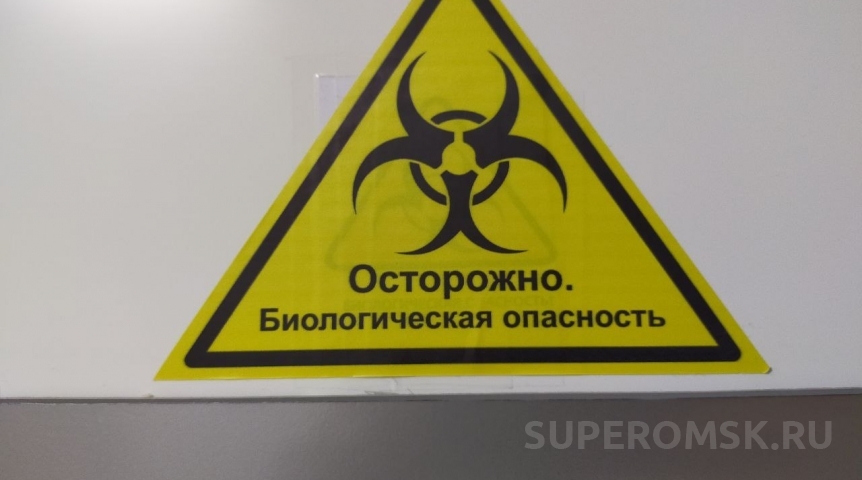 Пастереллез: Казахстан запретил мясо и молочку из Омска Пастереллез: Казахстан запретил мясо и молочку из Омска