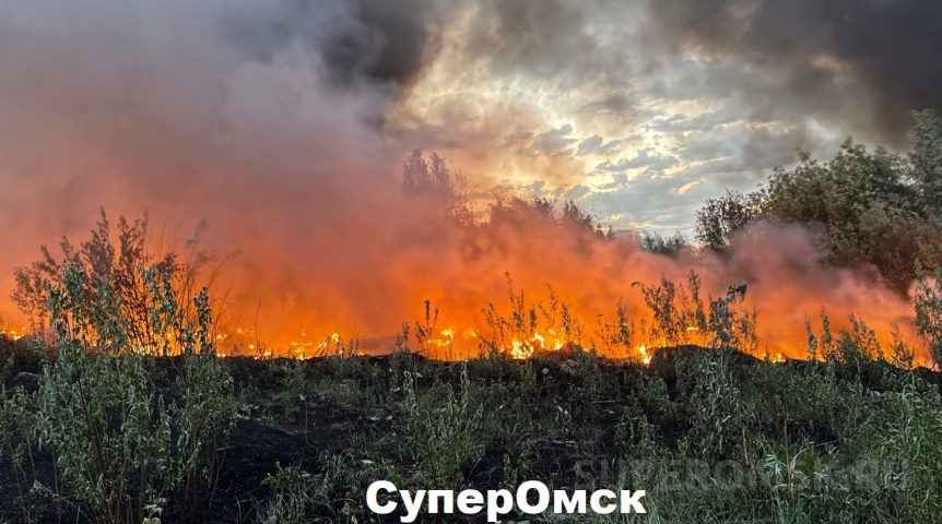 Пожаров в Омской области стало меньше, но они крупнее Пожаров в Омской области стало меньше, но они крупнее
