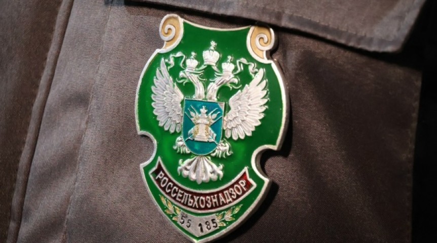 В Омск везли саженцы хвои с заразой В Омск везли саженцы хвои с заразой