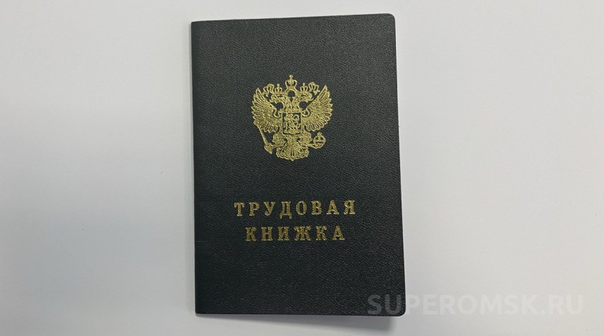 Экономика Омскую область назвали самой перспективной для трудоустройства в Сибири