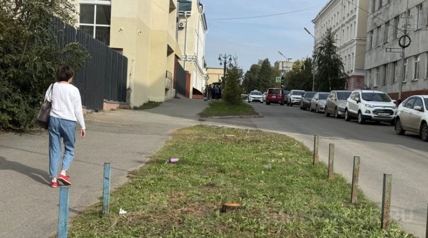 Город В Омске начали снос деревьев ради парковки на Чкалова