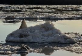 Проект ликвидации омского «Мыльного озера» обойдется почти в 25 миллионов