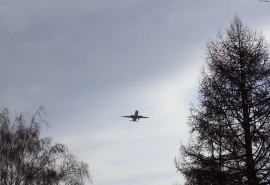 Омский авиаперевозчик ВИП-персон нарастил выручку