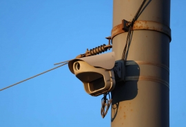 Камера помогла насобирать иностранцу штрафов на 70 тысяч рублей в Омской области