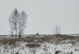 В Омск приходят крепкие морозы