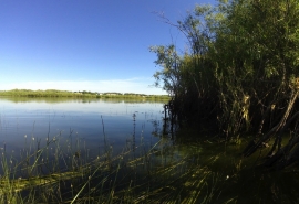 В Омской области на треть повышают плату за посещение памятников природы