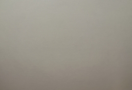 В Омске почти две недели не могут найти женщину со шрамом