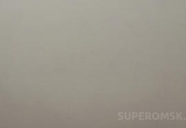 В Омской области создали новую региональную автономию татар