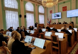 Контроль за вывесками и «регламент» по советам директоров: что решили омские депутаты