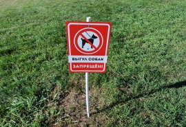 Под Омском запретили нелегальный питомник, где содержались десятки собак