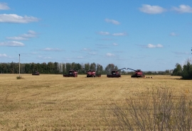 Налоговики настаивают на банкротстве крупного омского агрария