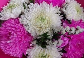 «СуперОмск» поздравляет Динара Курманова с днем рождения