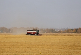 В Омской области построят птицефабрику у границы с Казахстаном