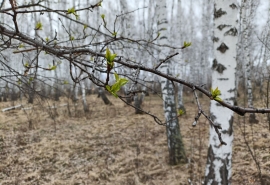 В ГУ МЧС назвали опасные места в Омской области