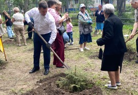 На Левобережье появилась Аллея Памяти в честь погибших в ходе СВО омичей