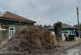 Суд запретил омичам выбрасывать ветки в мусорные баки