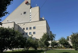 У Музыкального театра в Омске на яблоне появились плоды в разгар лета