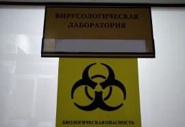 В Роспотребнадзоре анонсировали появление в РФ новых штаммов гонконгского и свиного гриппа