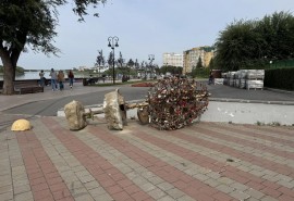 Дерево любви у «Сенкевича» демонтировали: что с ним будет дальше?