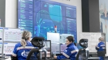 Минприроды РФ и «Газпром нефть» используют омский опыт для создания федеральной системы экомониторинга
