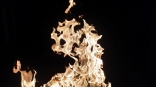 В пожарах в Омской области погибли пять человек В пожарах в Омской области погибли пять человек