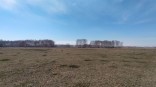 Омские ученые займутся вторжением червей Омские ученые займутся вторжением червей