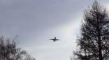 У омичей возникли проблемы с вылетом за рубеж и в некоторые регионы У омичей возникли проблемы с вылетом за рубеж и в некоторые регионы
