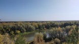 Объявлены сроки второго бабьего лета в Омской области Объявлены сроки второго бабьего лета в Омской области