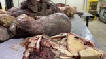 В омских субпродуктах нашли возбудитель опасного заболевания В омских субпродуктах нашли возбудитель опасного заболевания