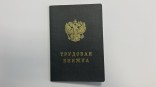 Омскую область назвали самой перспективной для трудоустройства в Сибири Омскую область назвали самой перспективной для трудоустройства в Сибири