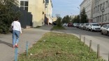 В Омске начали снос деревьев ради парковки на Чкалова В Омске начали снос деревьев ради парковки на Чкалова