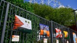 Иллюстрация к материалу Иллюстрация к материалу