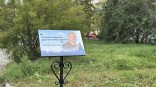 Иллюстрация к материалу Иллюстрация к материалу