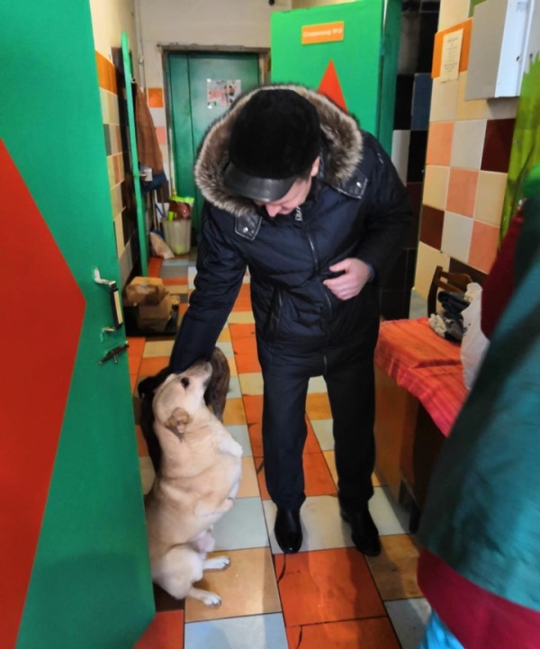 Омский депутат обеспечил лекарствами щенка, получившего жуткие травмы Омский депутат обеспечил лекарствами щенка, получившего жуткие травмы