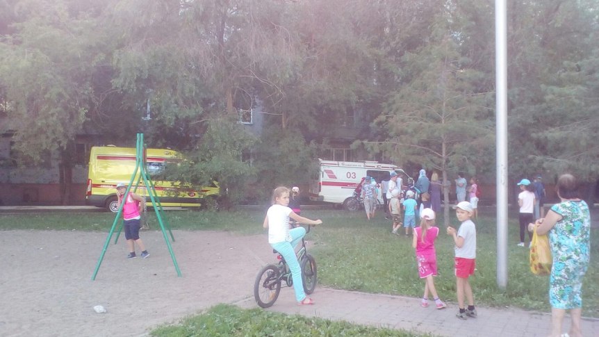 В Омске ветхое дерево придавило ногу ребенку В Омске ветхое дерево придавило ногу ребенку