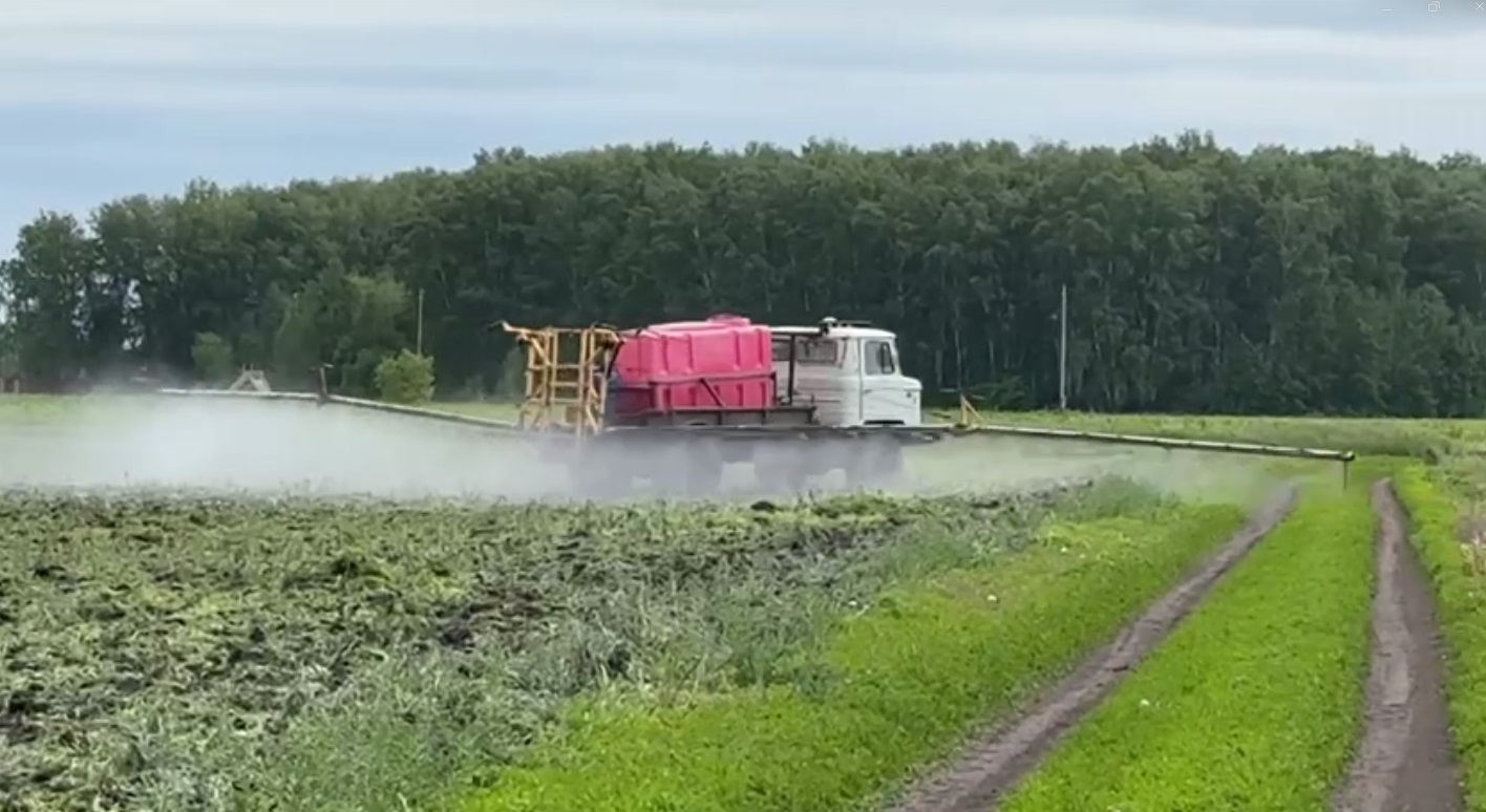 В Омской области приступили к борьбе с вторжением жуков